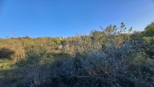 Veliko poljoprivredno zemljište 18,357m2