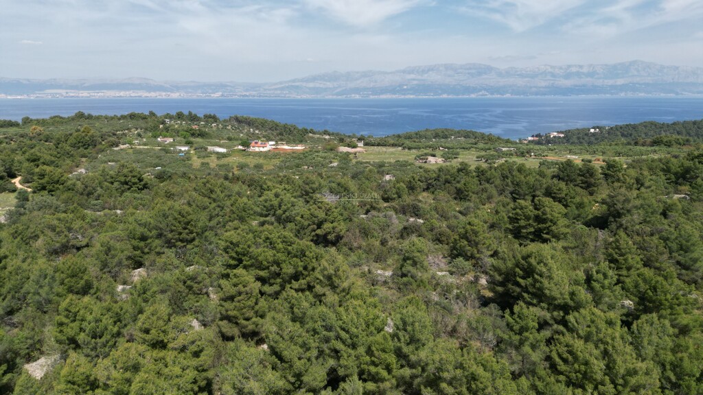 Image 6162651 - 1