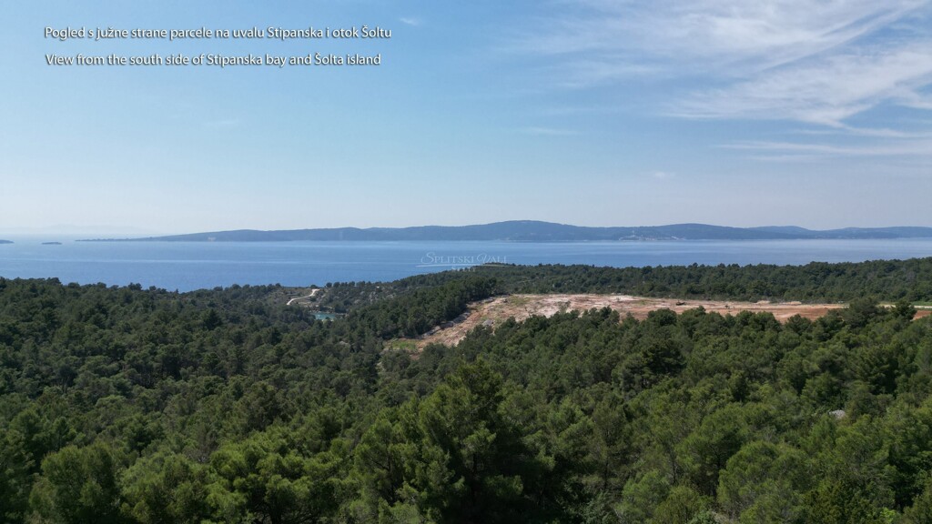 Image 6162651 - 2