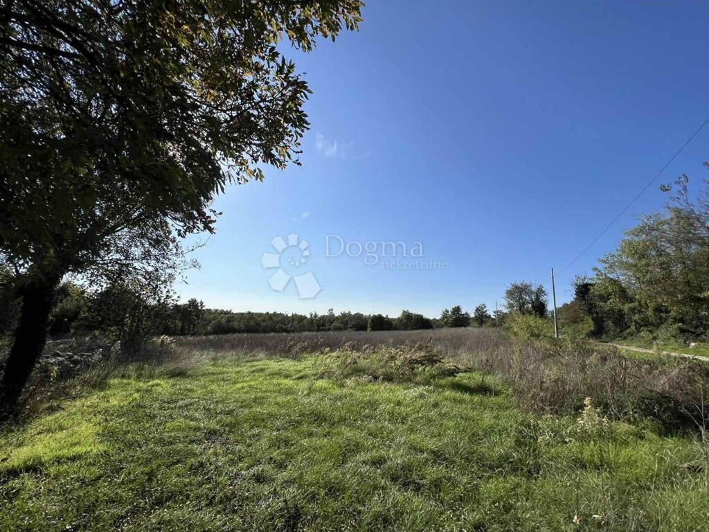 Image 6162977 - 4