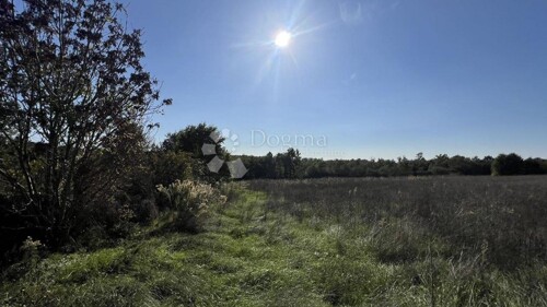 Thumbnail 6162977 - 6