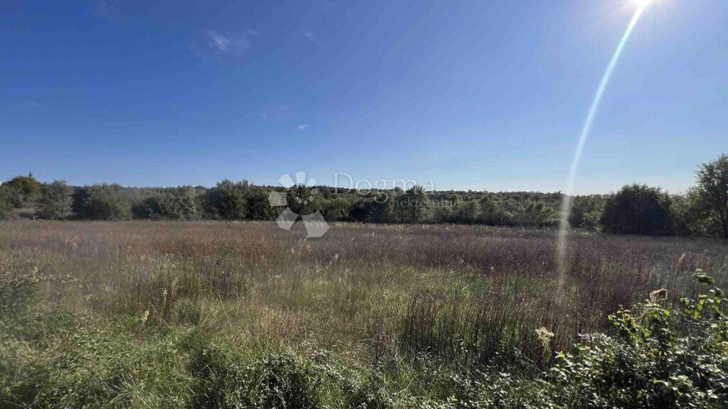 Image 6162980 - 4