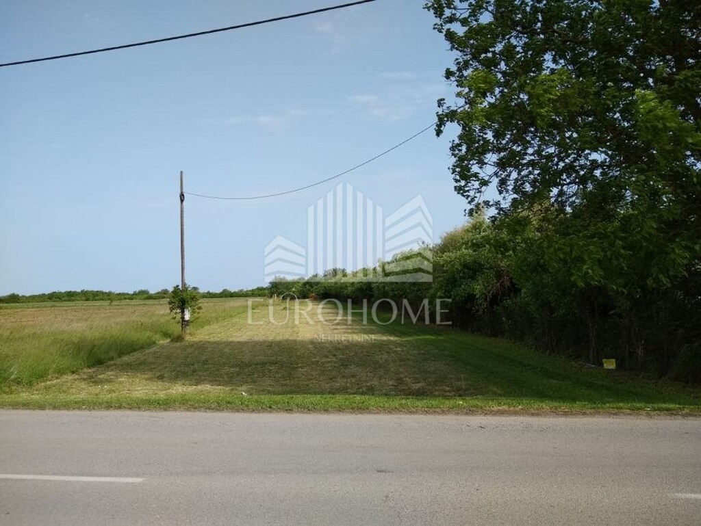 Image 6163012 - 1