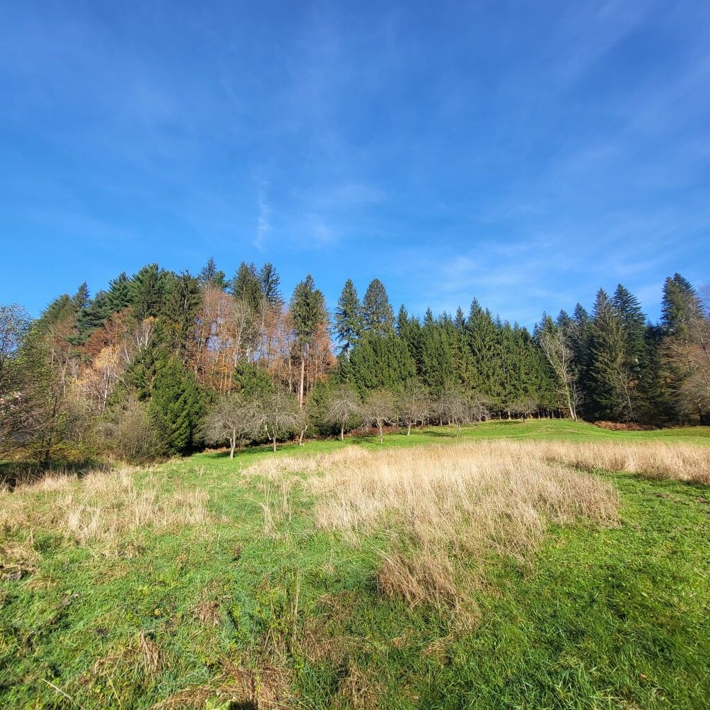 Image 6163036 - 1