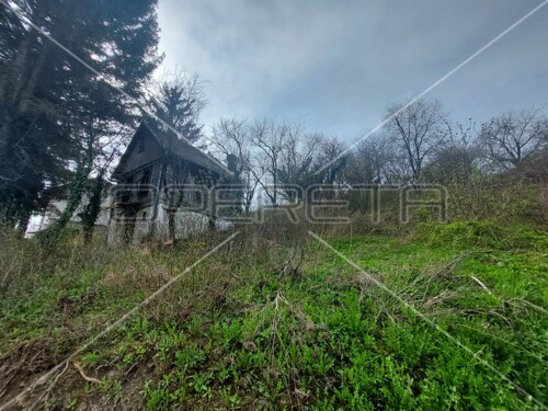 Thumbnail 6163076 - 3