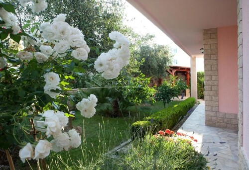 Thumbnail 6163135 - 4