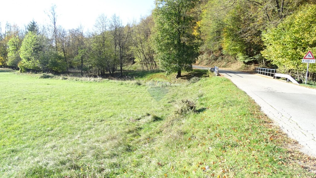 Image 6163151 - 2