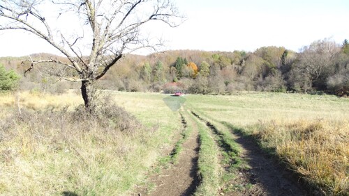 Thumbnail 6163153 - 1