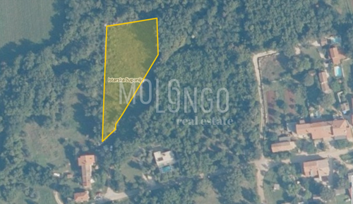 ISTRA, UMAG - Izvanredna Građevinska Parcela - Prirodna Oaz