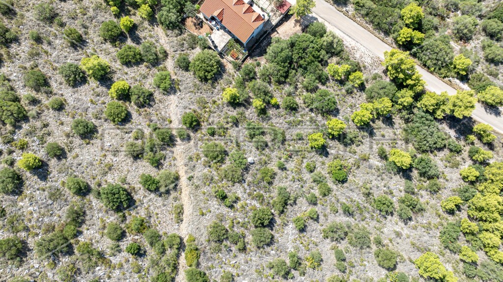 Image 6163589 - 13