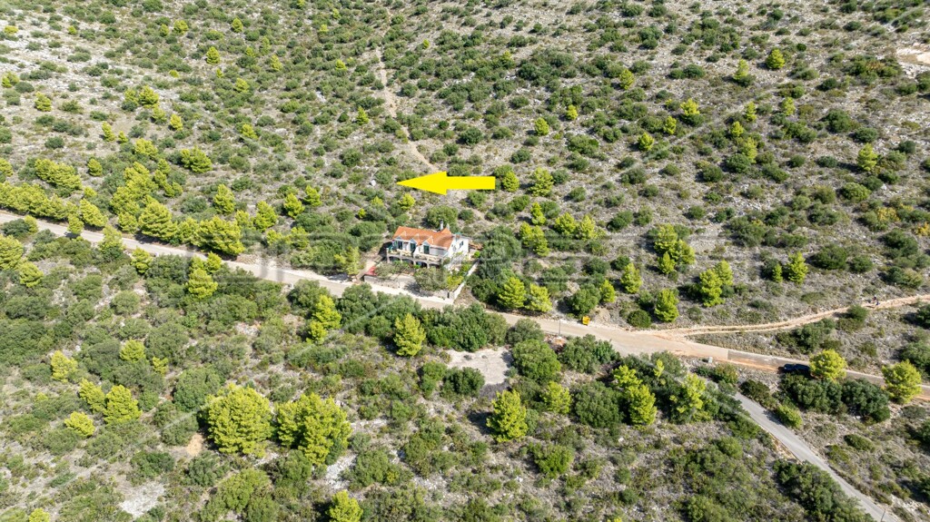 Image 6163589 - 6