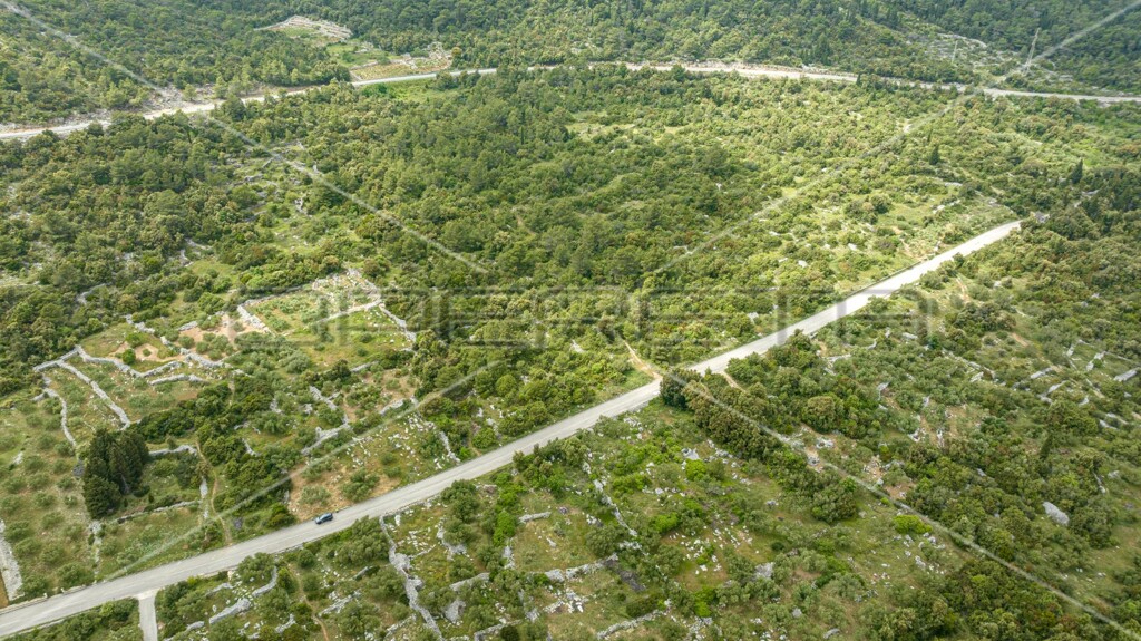 Image 6163590 - 10