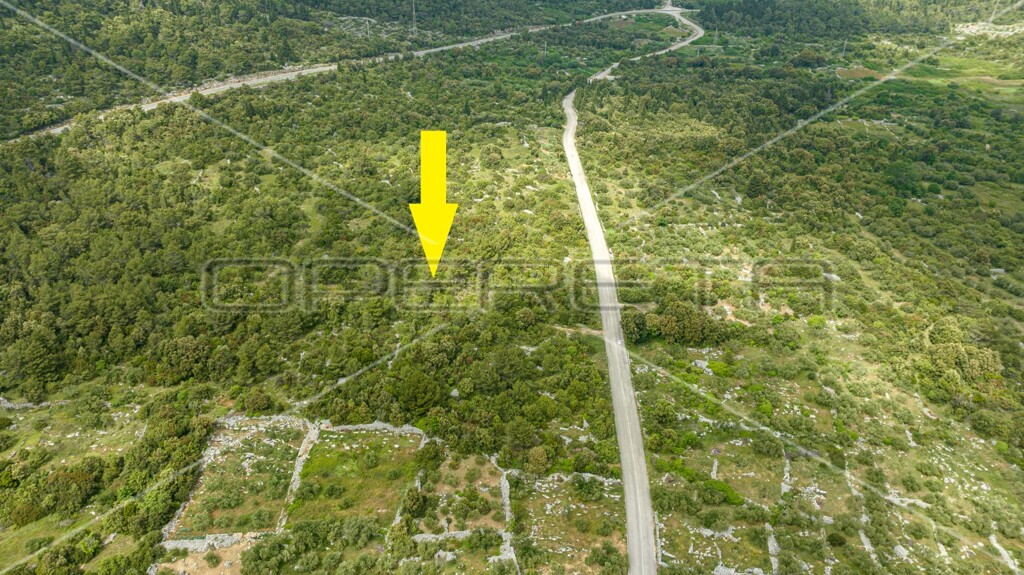 Image 6163590 - 4