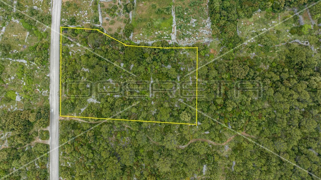 Image 6163590 - 1