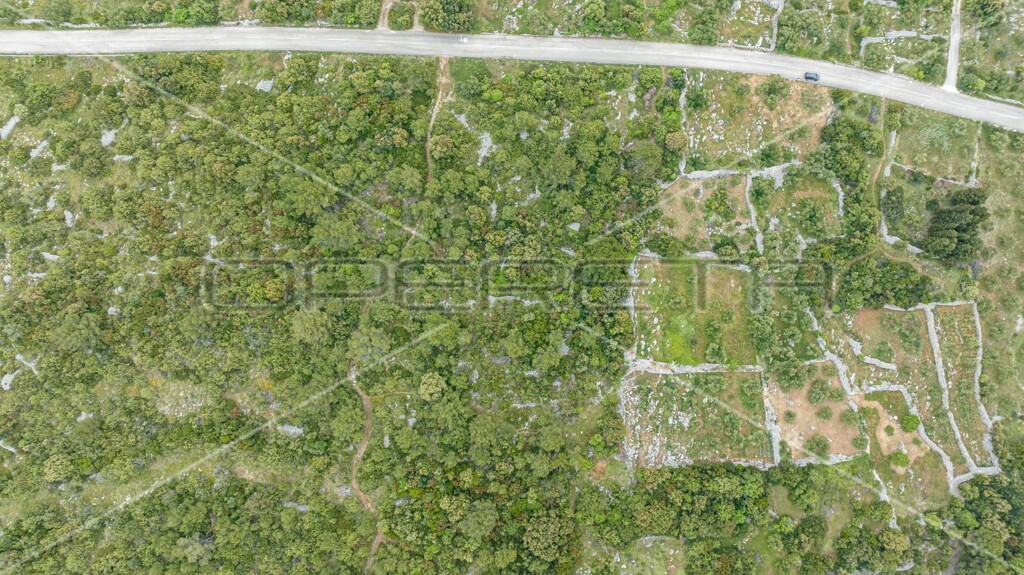Image 6163590 - 6