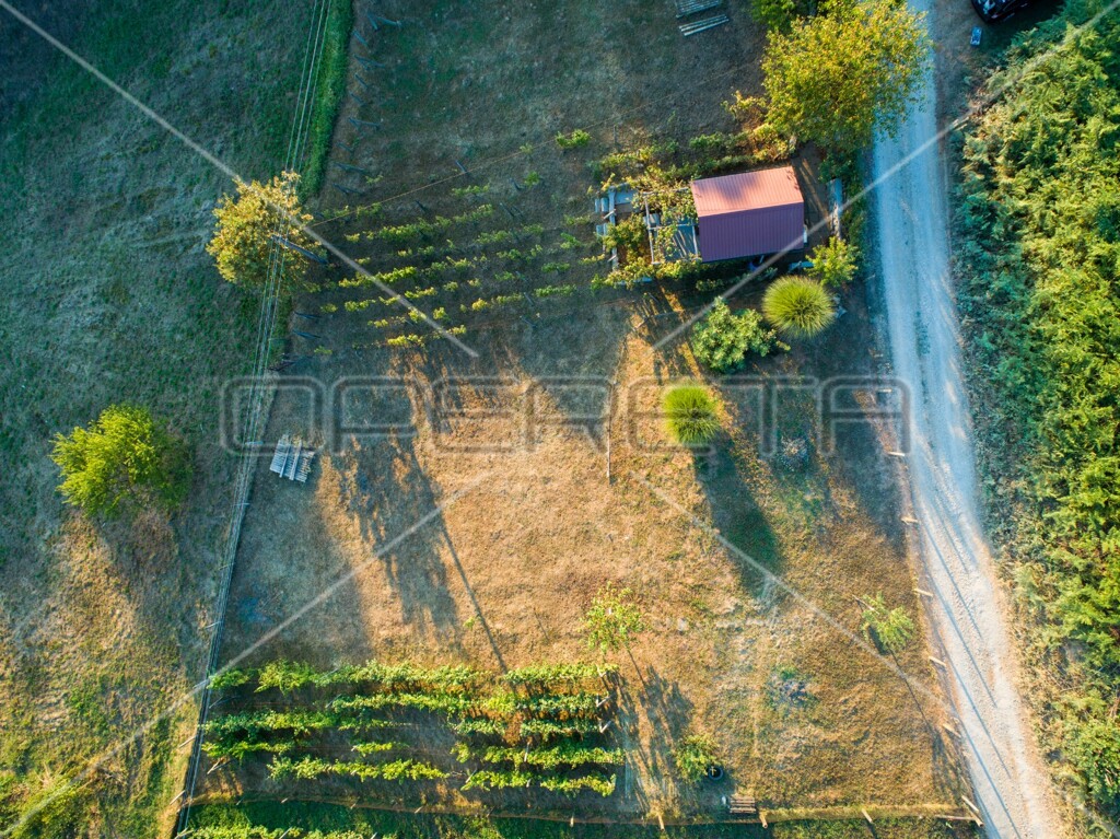 Image 6163594 - 9