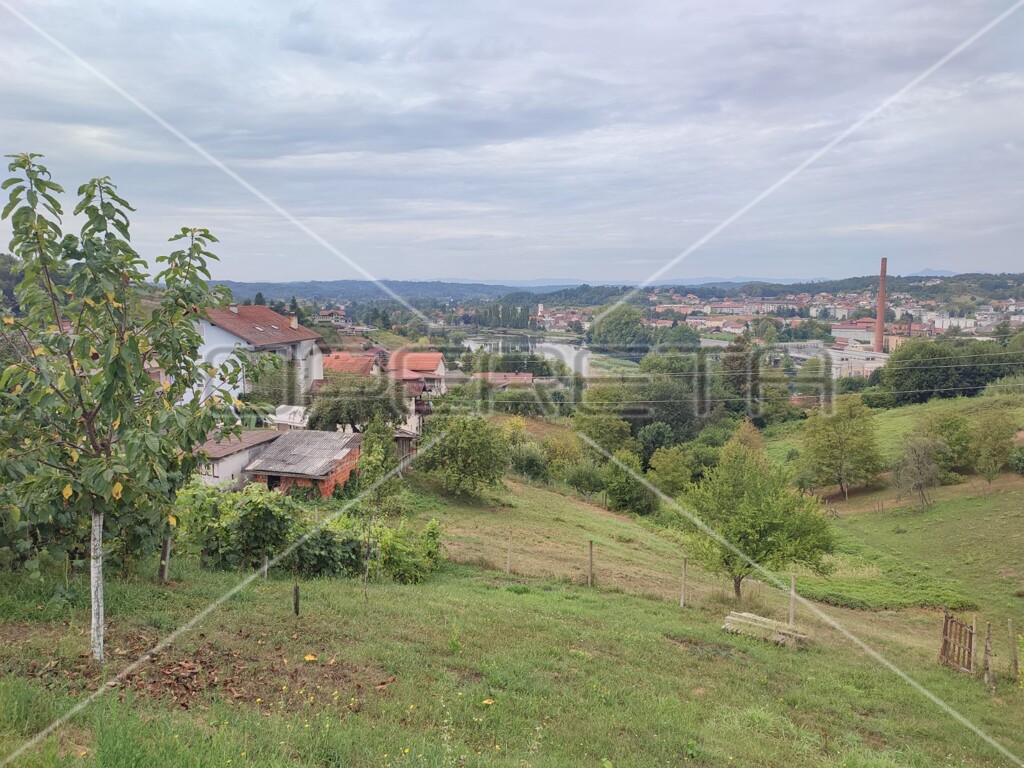 Image 6163594 - 4