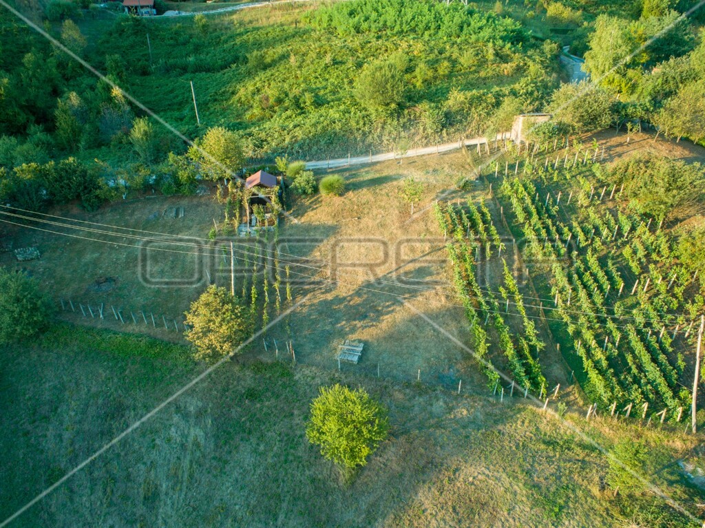 Image 6163594 - 8