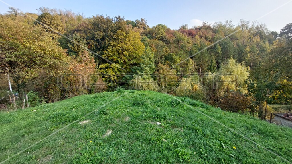 Image 6163597 - 3