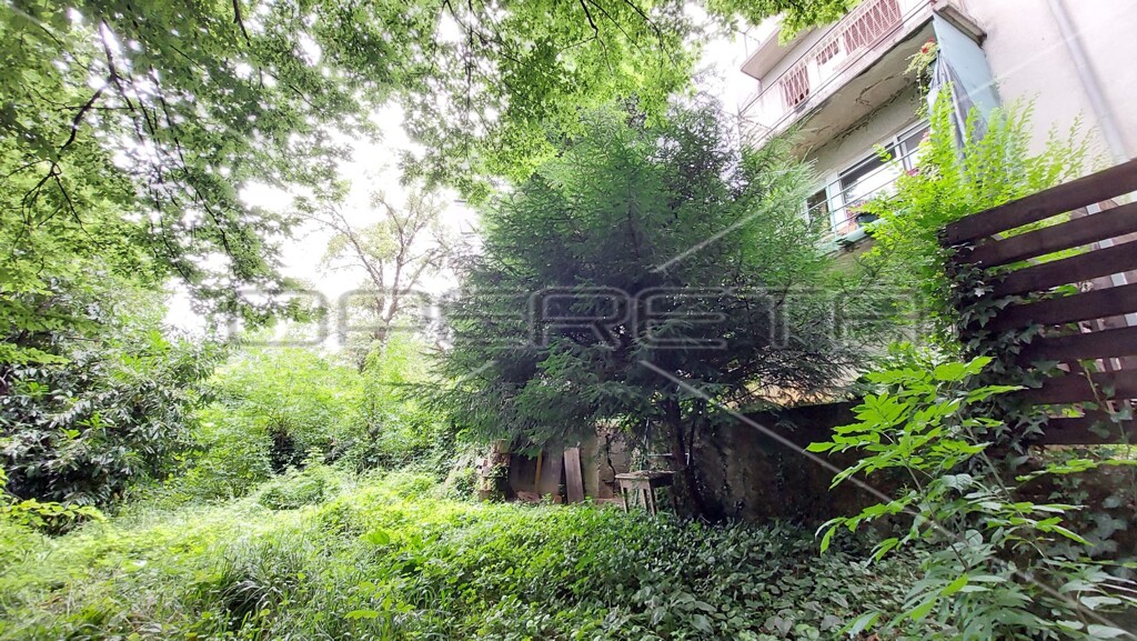 Image 6163638 - 14