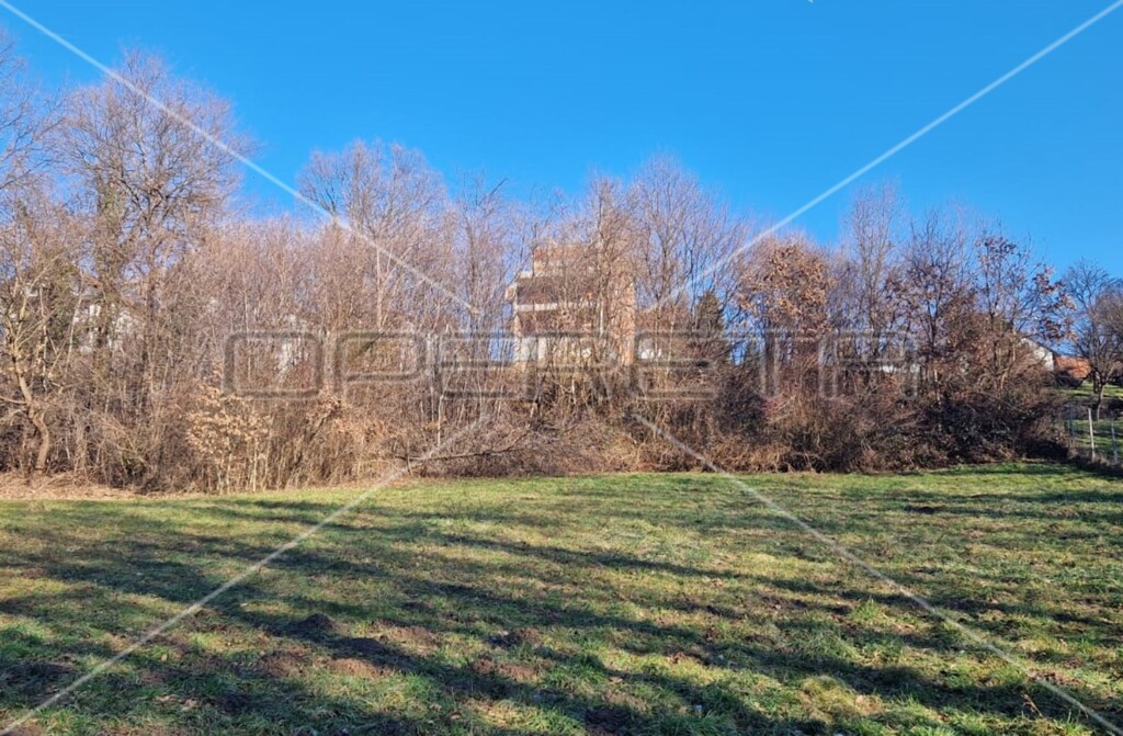 Image 6163697 - 4