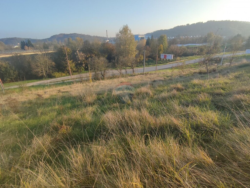 Image 6163798 - 1