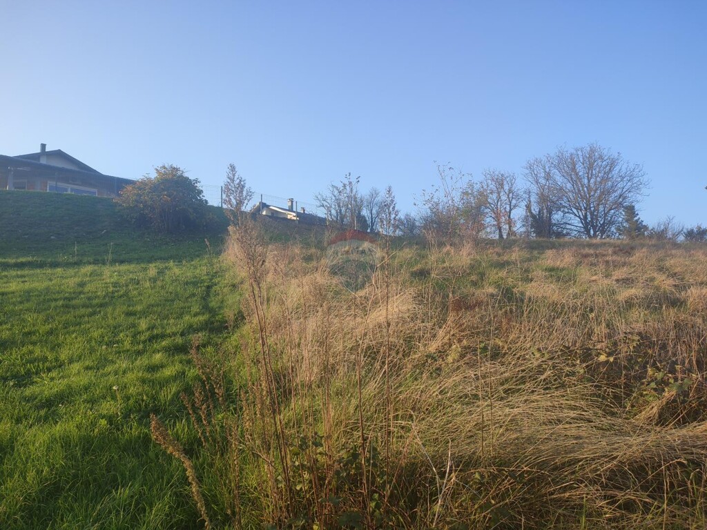Image 6163798 - 5