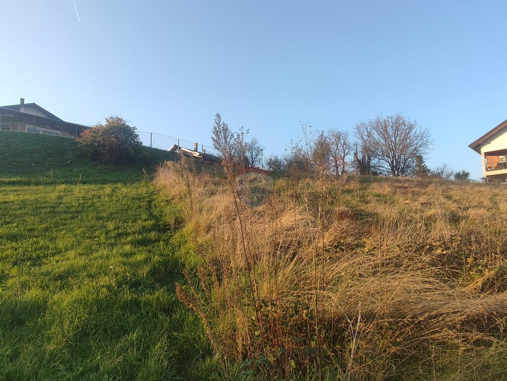 Image 6163798 - 4