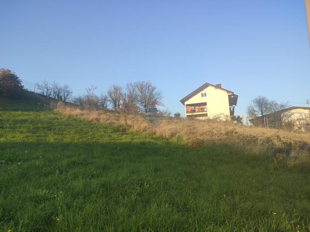 Image 6163798 - 2