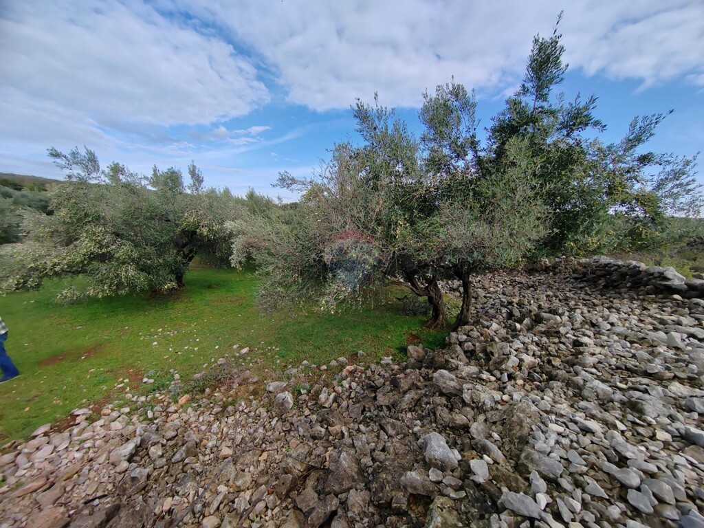 Image 6163799 - 2