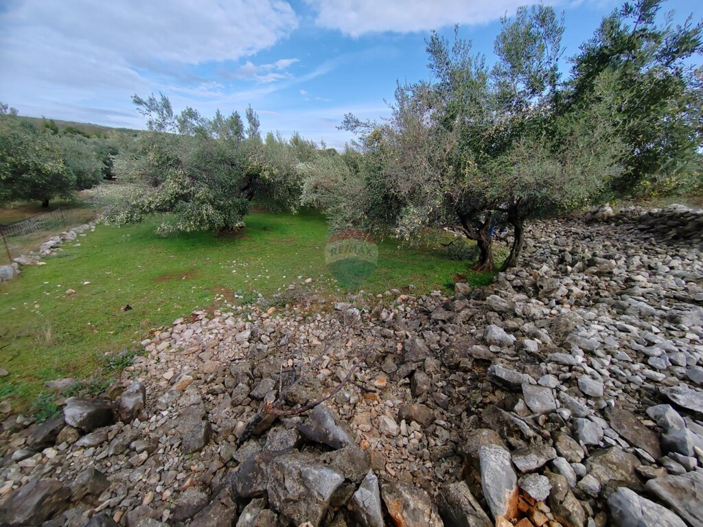 Image 6163799 - 1