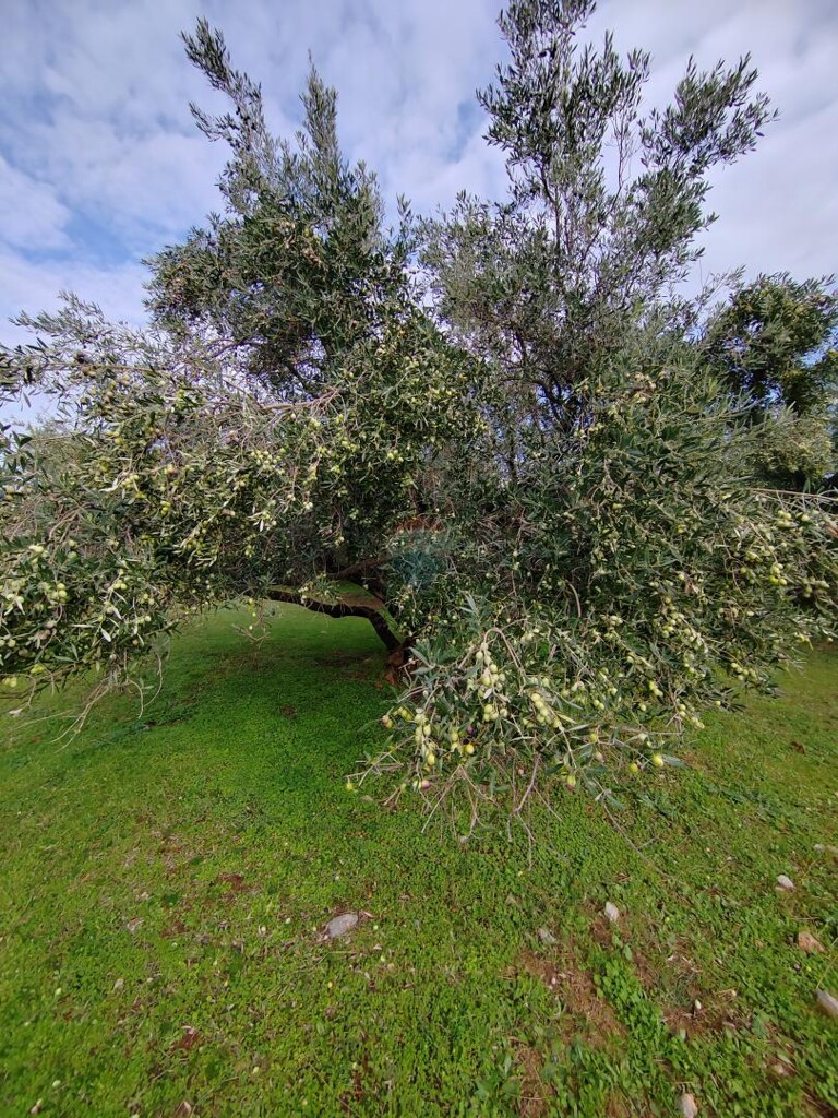 Image 6163799 - 4