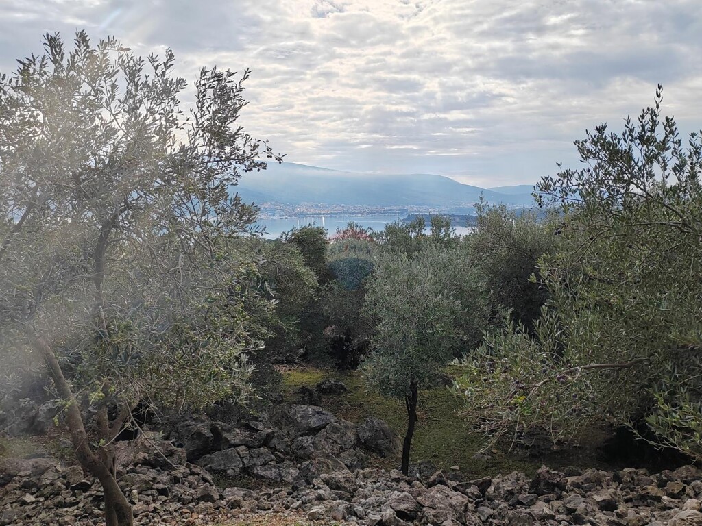Image 6163800 - 4
