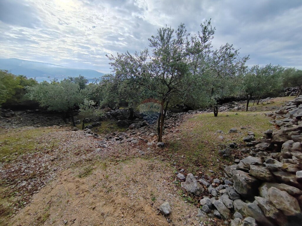 Image 6163800 - 1