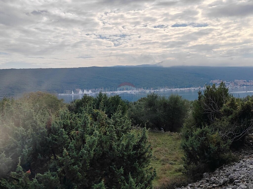 Image 6163800 - 5