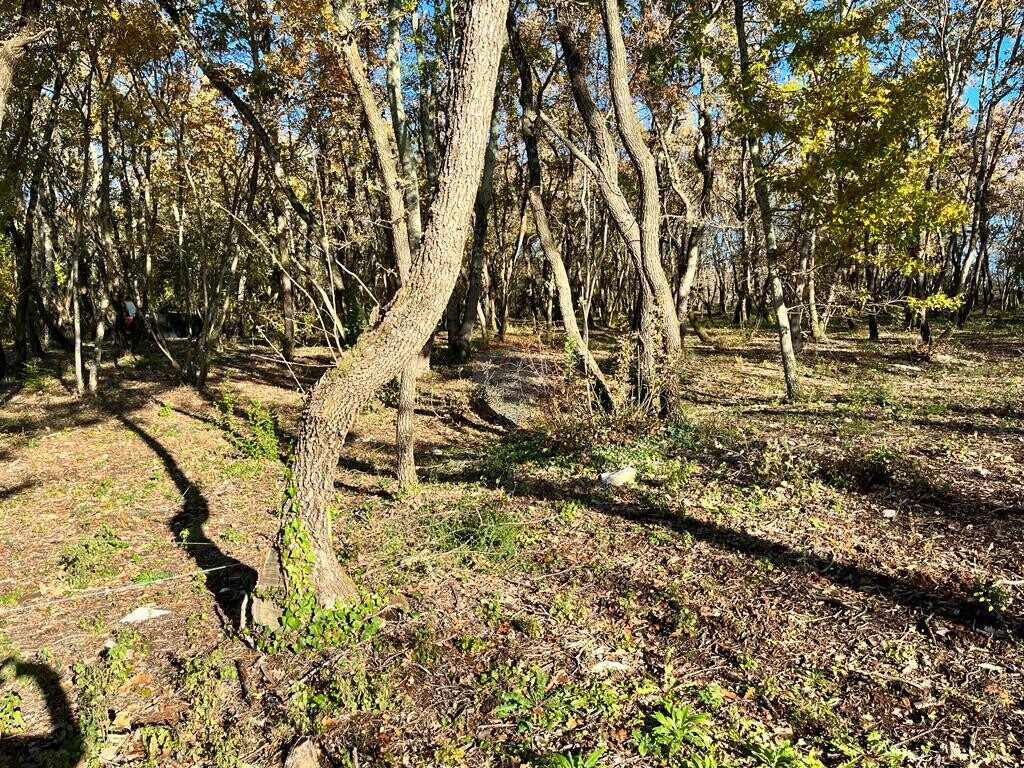 Image 6163806 - 1