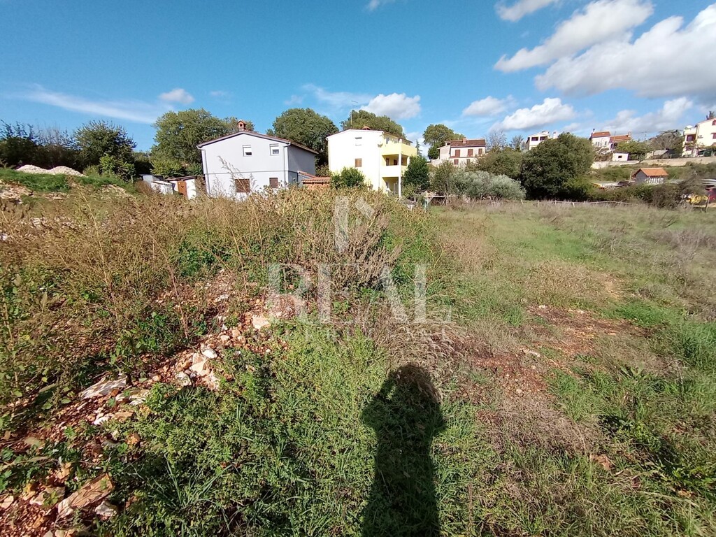 Image 6164292 - 3
