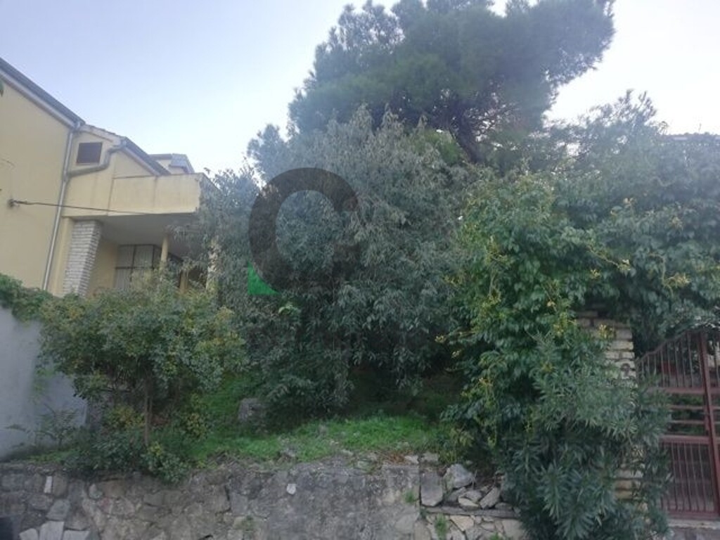 Image 6164300 - 5