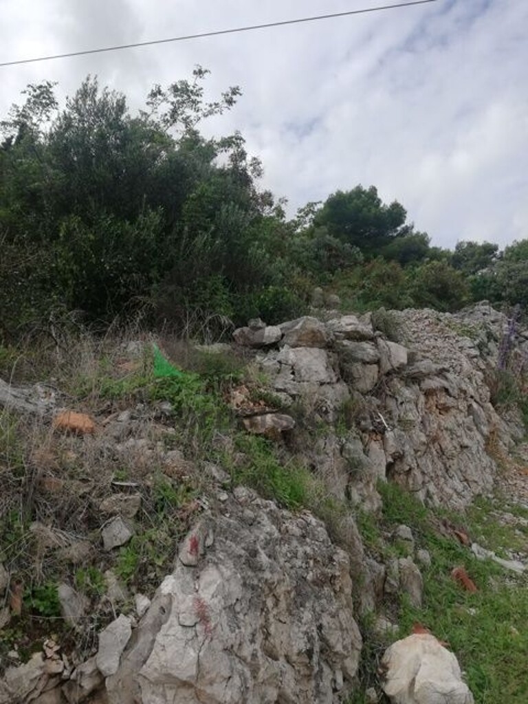 Image 6164300 - 2