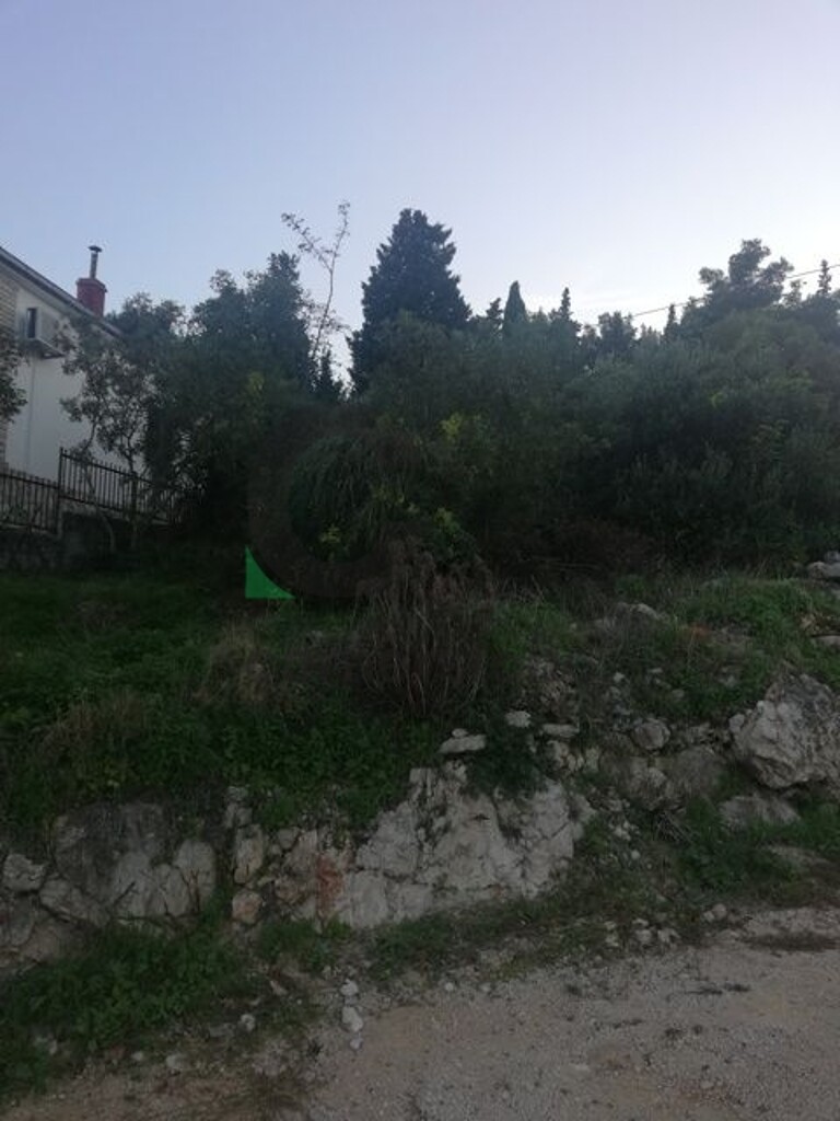 Image 6164300 - 6