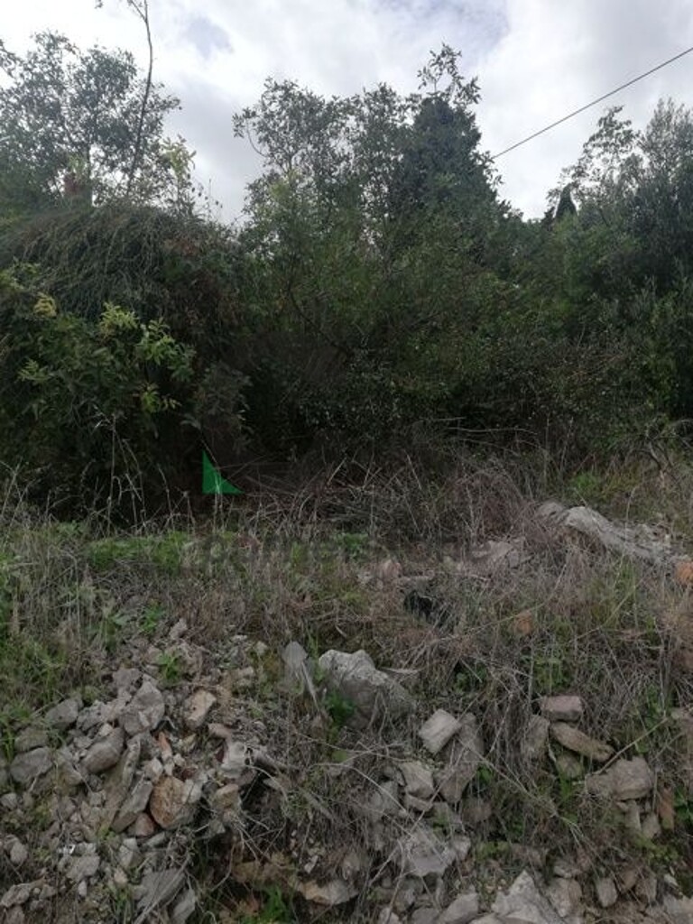Image 6164300 - 1