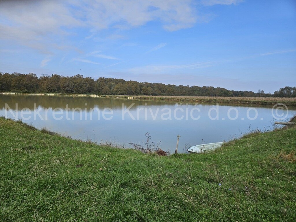 Image 6164305 - 4