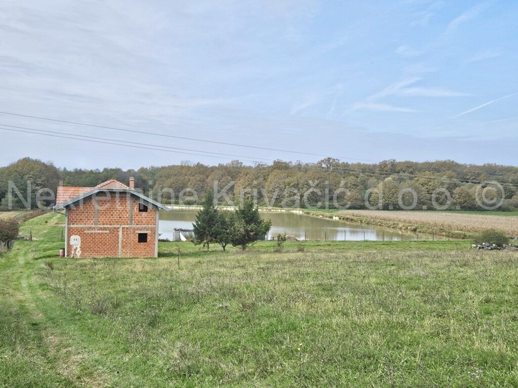Image 6164305 - 3