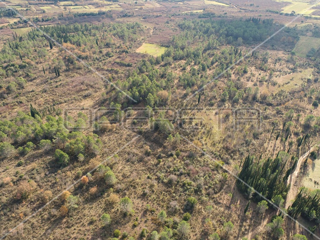 Image 6164320 - 12