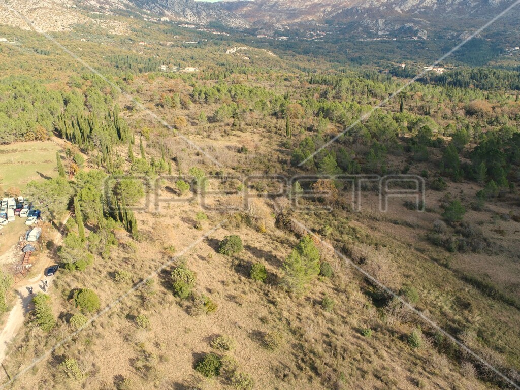 Image 6164320 - 13