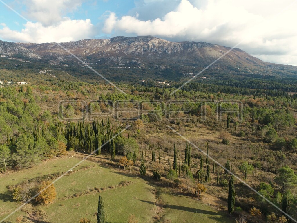 Image 6164320 - 3