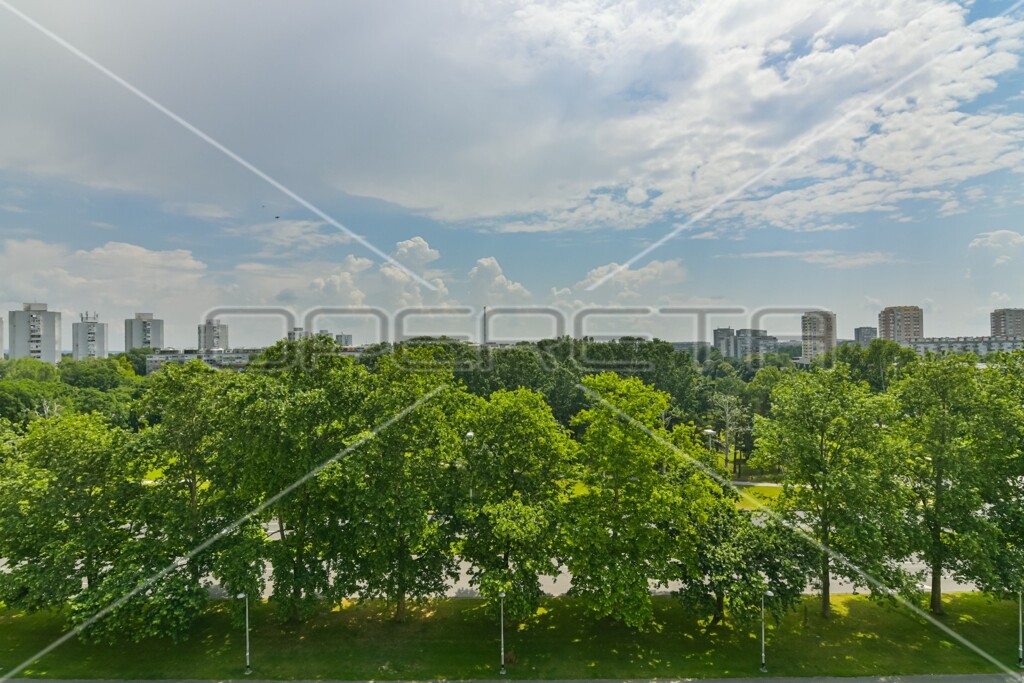 Image 6164331 - 16