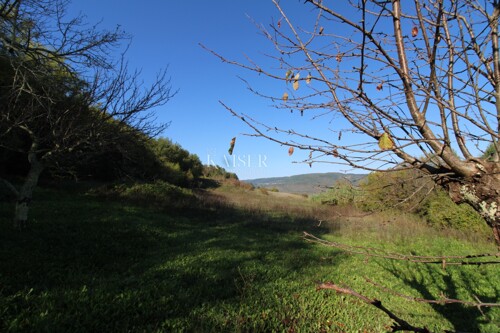 Istra - Motovun, poljoprivredno zemljište pogled Motovun