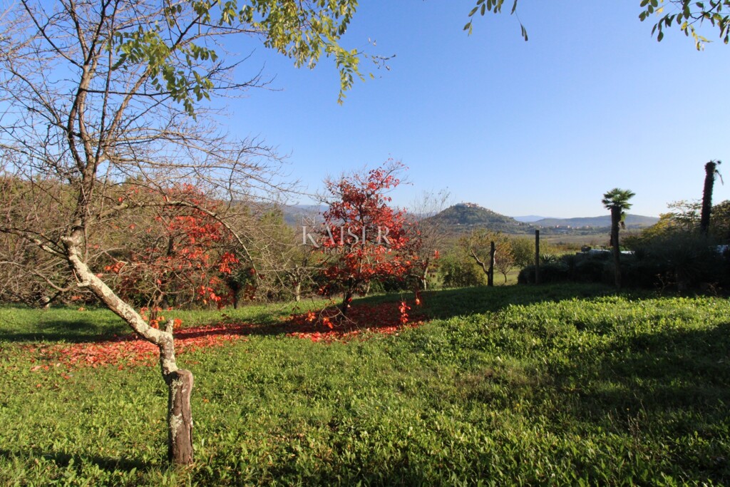 Image 6164373 - 3