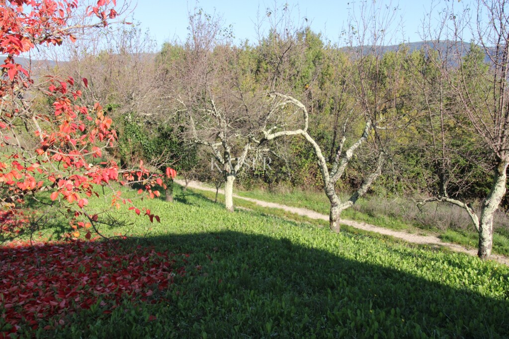 Image 6164373 - 5